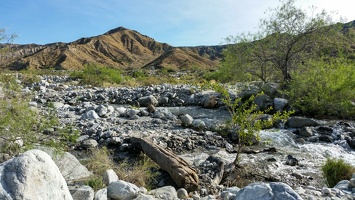 PHOTO 20170427 082918