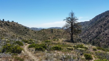 PHOTO 20170428 102516