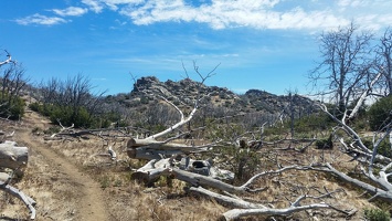 PHOTO 20170524 111914