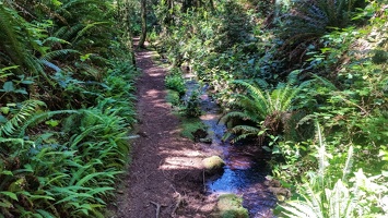 PHOTO 20170618 111434