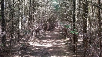 PHOTO 20170623 102302