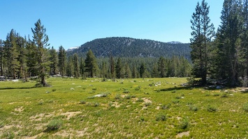 PHOTO 20170719 155631