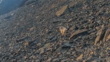 PHOTO 20170903 190905