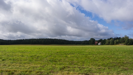 08080004