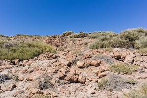 teneriffa 32