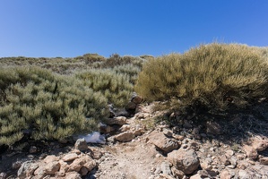 teneriffa 33