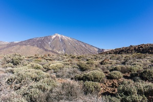 teneriffa 61