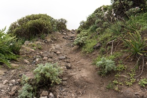teneriffa 67
