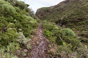 teneriffa 89