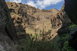 teneriffa 108