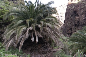 teneriffa 110