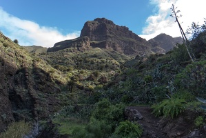 teneriffa 115