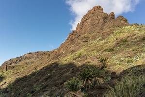teneriffa 117