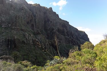 teneriffa 120