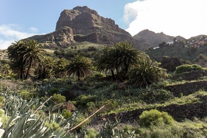 teneriffa 121