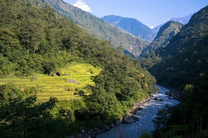 nepal 03