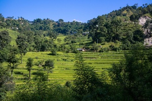 nepal 05