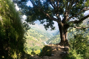 nepal 07