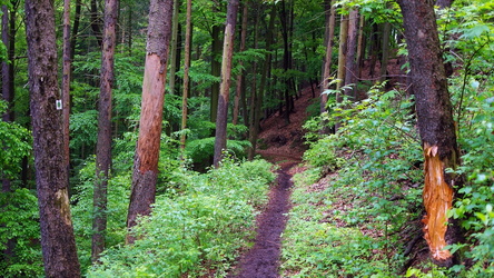 Harz - Deutschland