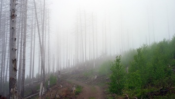 harz 03