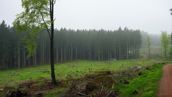 harz 07