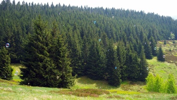 harz 10