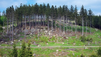 harz 20