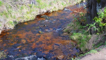 harz 21