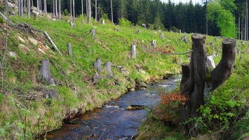 harz 22