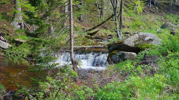 harz 24