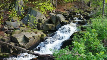harz 25