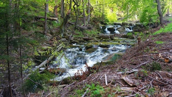 harz 26