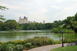 newyork 11