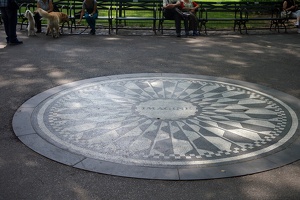 newyork 12
