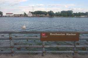 newyork 29